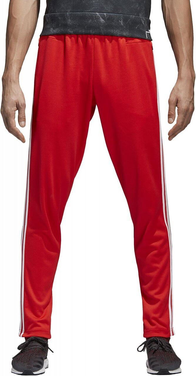 Trenirka adidas Originals Striker Training Pants Crvena | cf2499