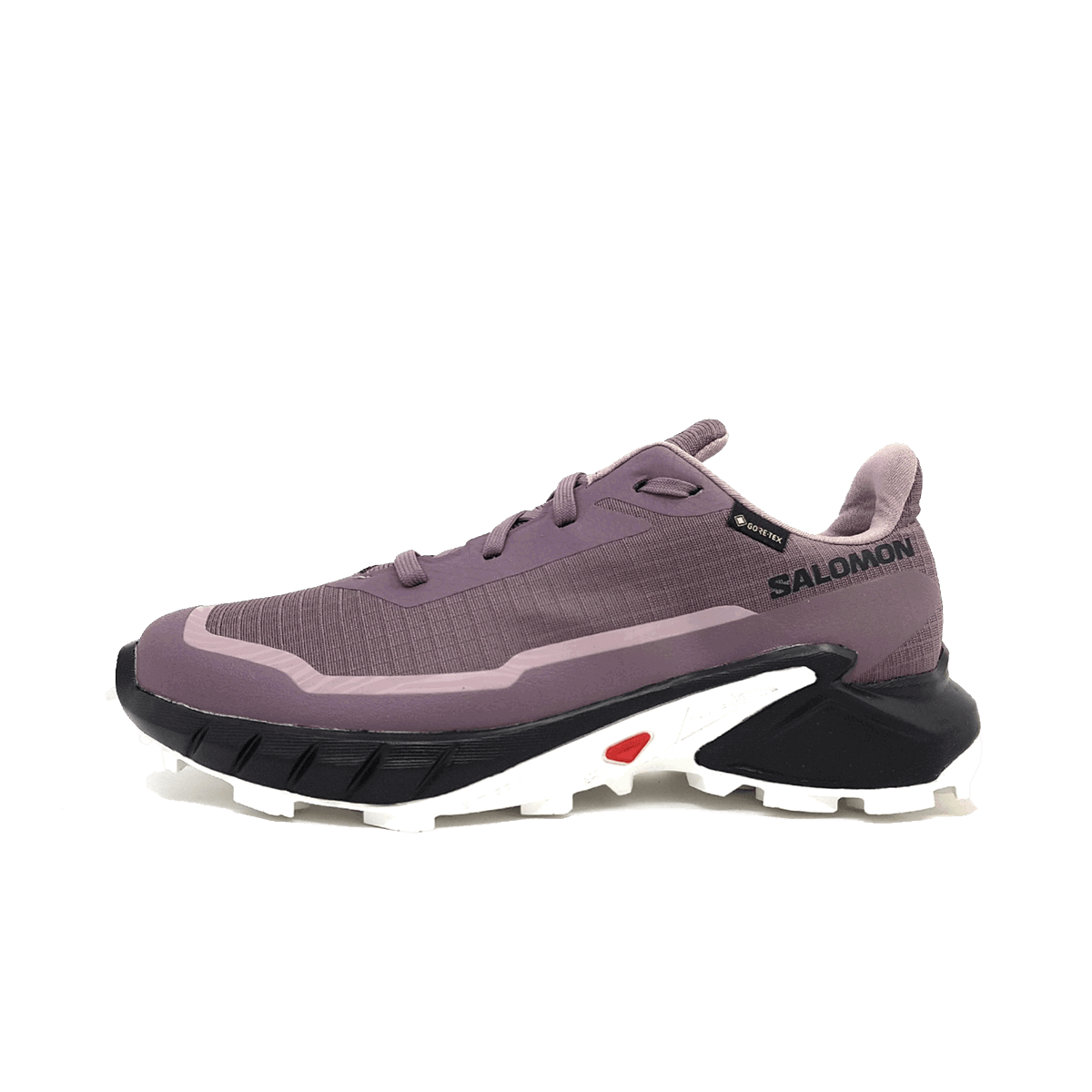 Tenisice i cipele Salomon ALPHACROSS 5 GTX Ljubičasta | L47311000, 0