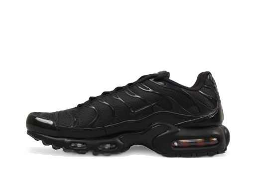 Tenisice i cipele Nike Air Max Plus Crna | 604133-050