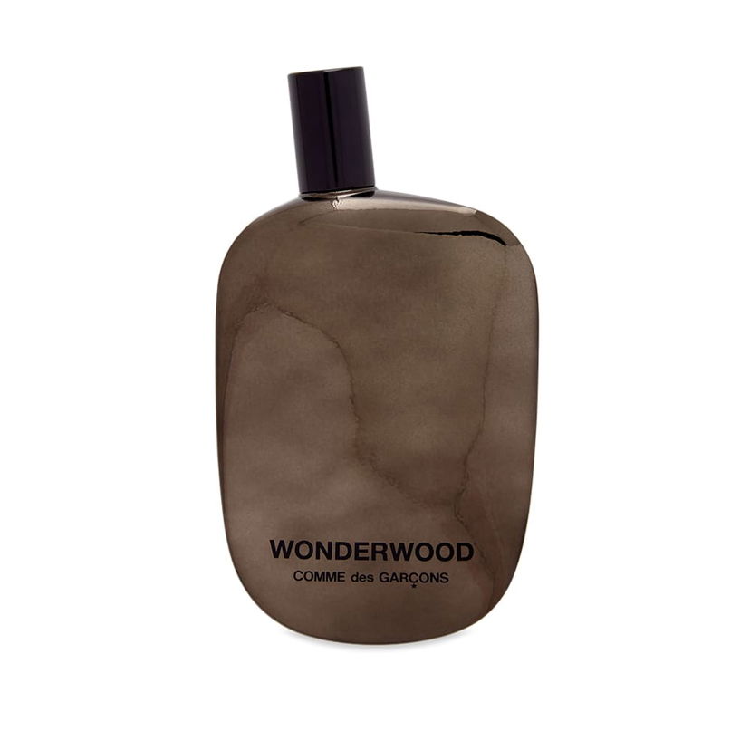 Parfemi i mirisi Comme des Garçons Wonderwood Eau de Parfum in 100ml Smeđa | 65037654