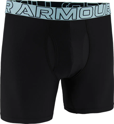 Bokserice Under Armour Performance Tech™ 6" Boxerjock® Boxer Briefs Crna | 1383849-002, 1