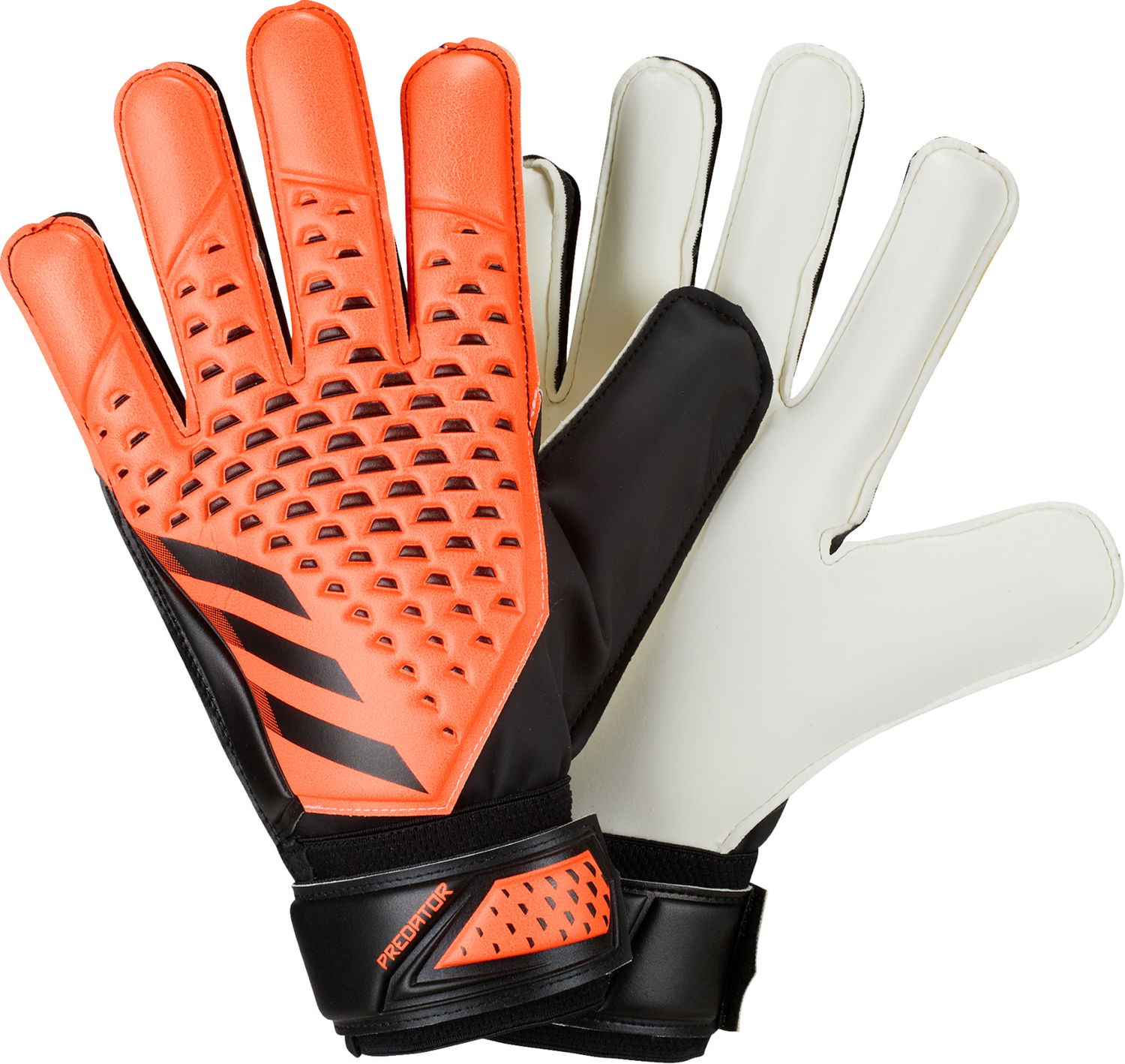 Rukavice adidas Originals Predator Goalkeeper Training Gloves Višebojno | hn5585, 0