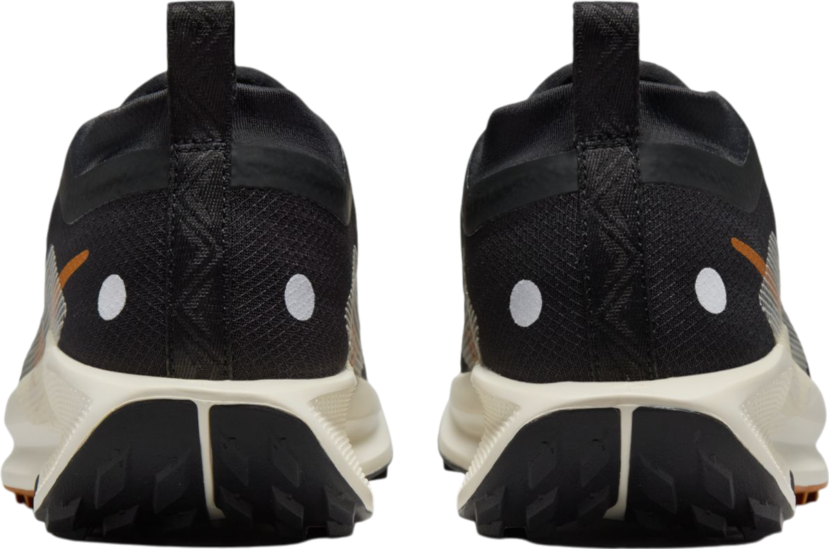 Tenisice i cipele Nike Pegasus Trail 5 GORE-TEX Crna | fq0912-005, 1