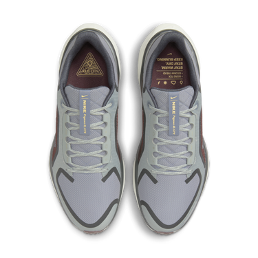 Tenisice i cipele Nike Pegasus 41 GORE-TEX Siva | FQ1356-003, 4