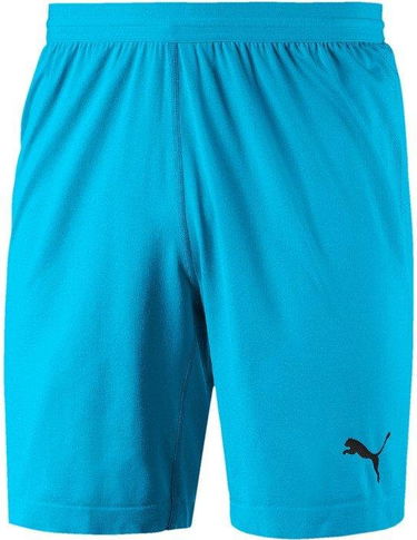 Kratke hlače Puma FINAL evoKNIT GK Shorts Tirkiz | 70345508, 0