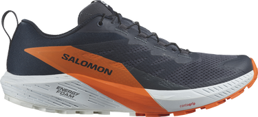 Tenisice i cipele Salomon SENSE RIDE 5 GTX Crna | l47459400, 0