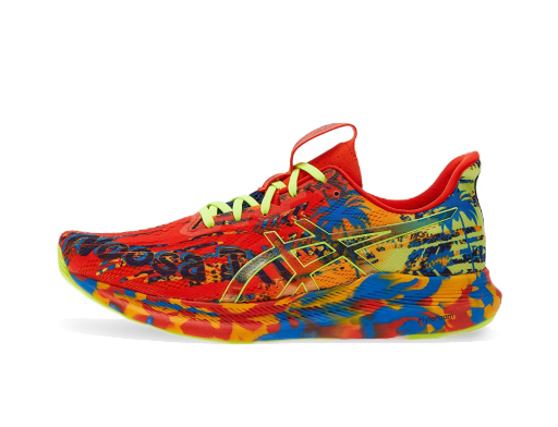 Trčanje Asics Noosa Tri 14 Višebojno | 1011B368-800