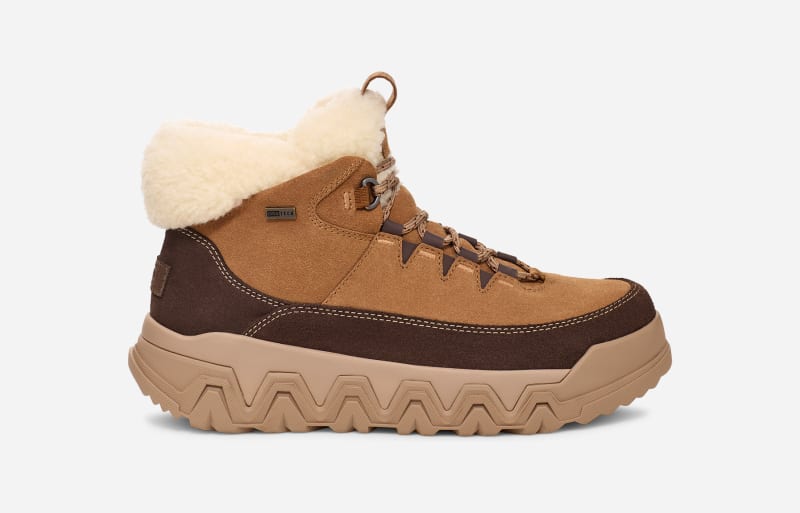 Tenisice i cipele UGG TerreTrail Cozy Lace Boot Smeđa | 1158210-CHE
