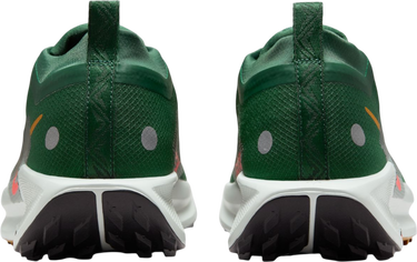 Tenisice i cipele Nike Pegasus Trail 5 GORE-TEX Zelena | fq0908-301, 1