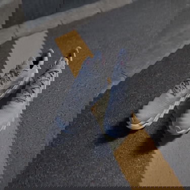 Tenisice i cipele adidas Performance Supernova Stride Siva | IG8309, 2