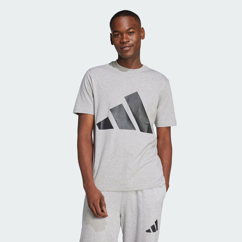 Majica kratkih rukava adidas Performance Essentials Big Logo T-Shirt Siva | JE8948