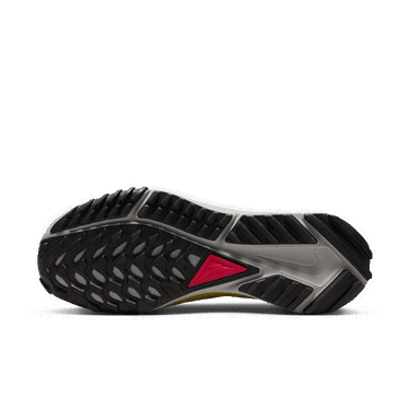 Tenisice i cipele Nike Pegasus Trail 4 W Plava | DJ6159-401, 2