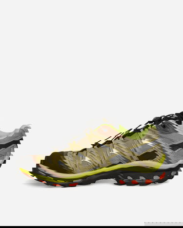Tenisice i cipele Salomon XT-Quest Zelena | L49125800, 3