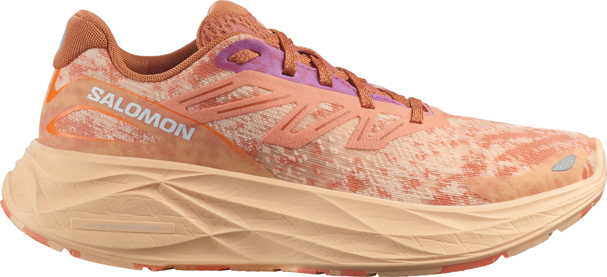 Tenisice i cipele Salomon AERO GLIDE 2 W Bež | l47426600, 0