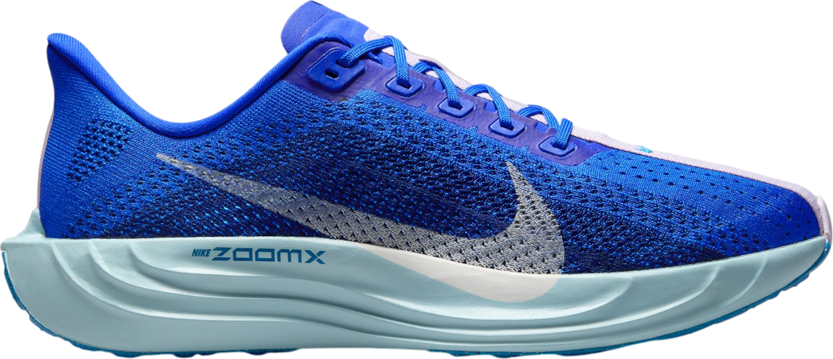 Tenisice i cipele Nike Pegasus Plus Premium Plava | hq1719-400, 0