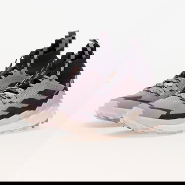 Tenisice i cipele adidas Performance Terrex Free Hiker 2 W Prlofi/ Aurbla/ Silver Dawn Ljubičasta | IG8896, 5