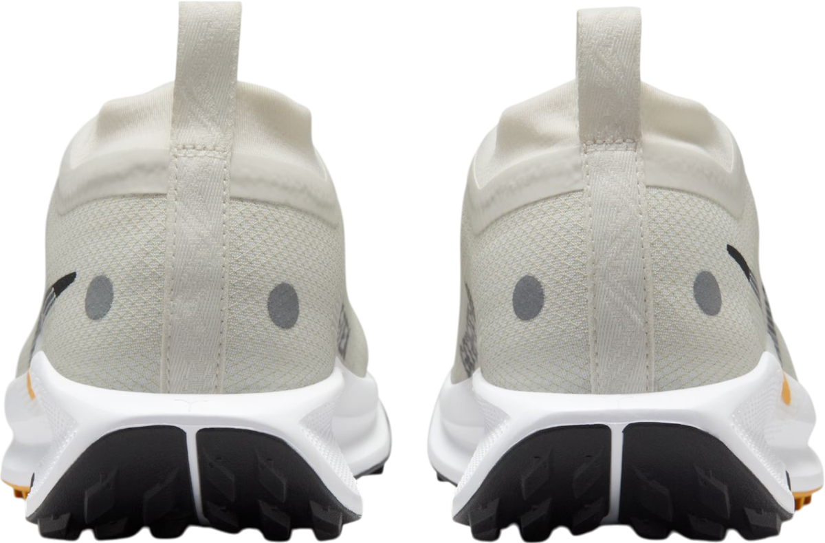 Tenisice i cipele Nike Pegasus Trail 5 GORE-TEX Bež | fq0912-003, 1