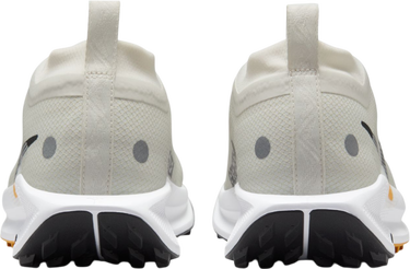 Tenisice i cipele Nike Pegasus Trail 5 GORE-TEX Bež | fq0912-003, 1