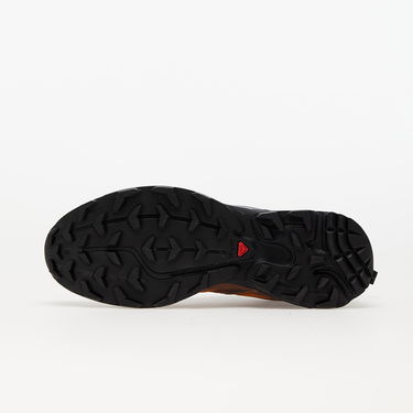 Tenisice i cipele Salomon XT-6 Expanse Smeđa | 417053, 4