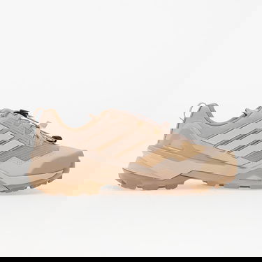 Tenisice i cipele adidas Performance Terrex Skychaser GTX Bež | JS4611, 4
