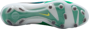 Tenisice i cipele Nike LEGEND 10 ELITE FG LV8 Zelena | hj7272-300, 2
