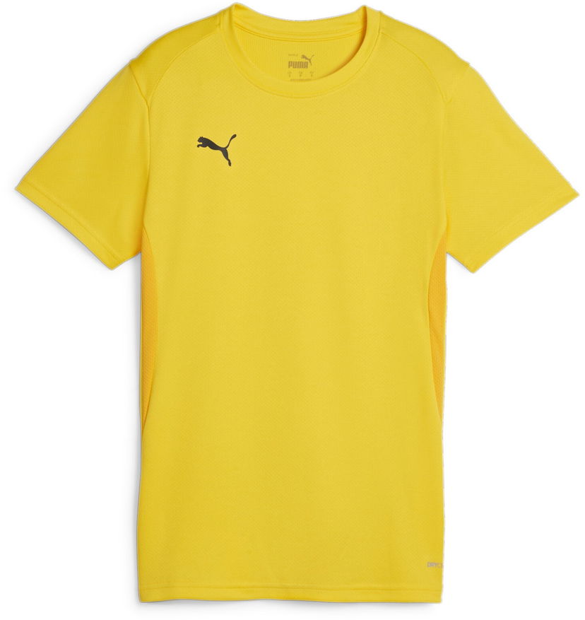 Dres Puma teamGOAL Jersey Žuta | 658638-07