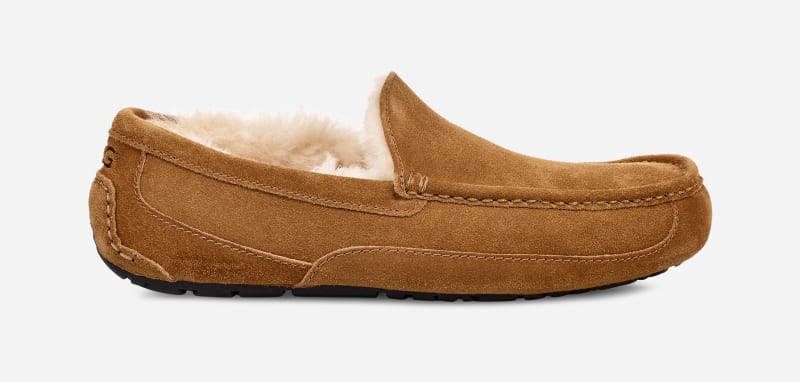 Tenisice i cipele UGG ® Ascot Slipper in Brown, Size 10, Leather Smeđa | 1101110W-CHE