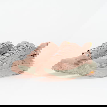 Tenisice i cipele Hoka One One Anacapa 2 Low Gtx Ružičasta | 1142830F-RTTT, 5