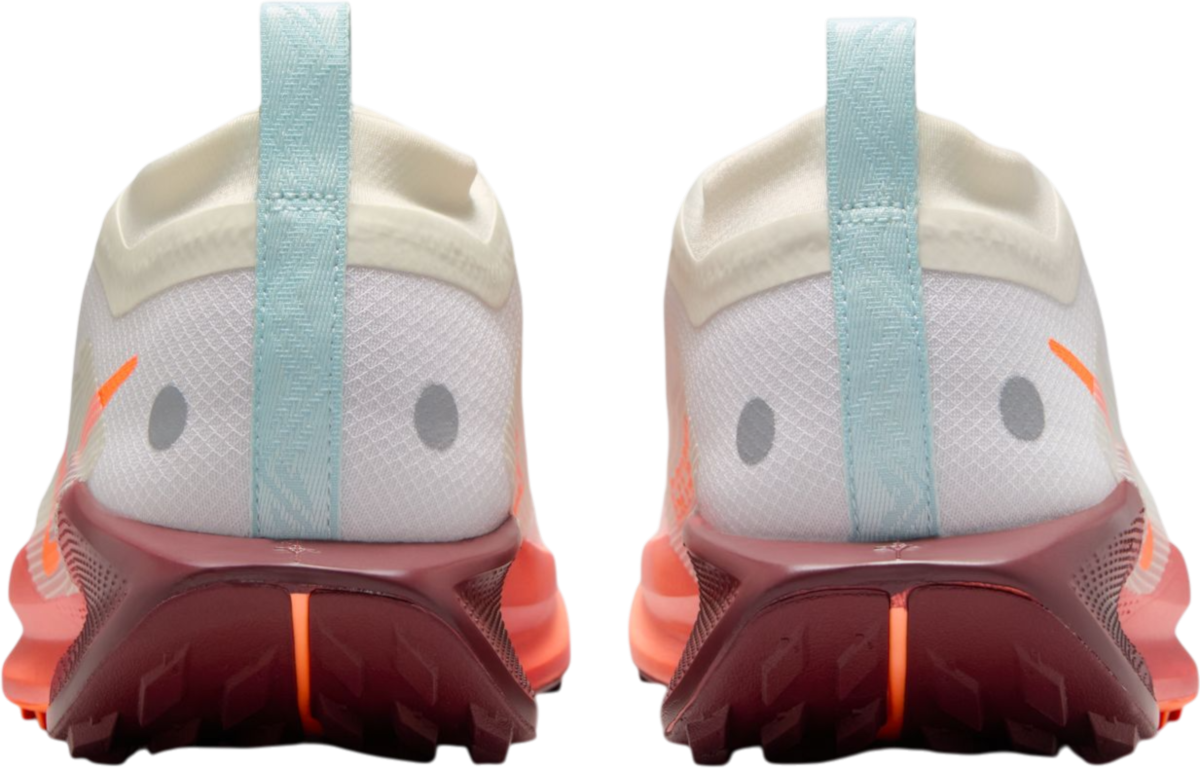 Tenisice i cipele Nike Pegasus Trail 5 GORE-TEX Bijela | fq0912-104, 1