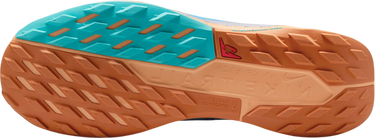 Tenisice i cipele Nike Pegasus Trail 5 GORE-TEX Plava | fq0908-400, 3