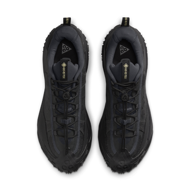 Tenisice i cipele Nike ACG Mountain Fly 2 Low GORE-TEX Siva | HF6245-001, 2