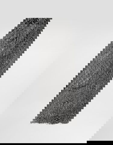 Suknja Dolce & Gabbana Lamé Lace Long Skirt Crna | F4B7ITILMCFS0998, 0