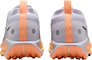 Tenisice i cipele Nike Pegasus Trail 5 GORE-TEX Višebojno | fq0912-011, 1