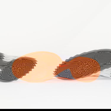 Tenisice i cipele Nike T90 SP Narančasta | HJ9351-800, 5