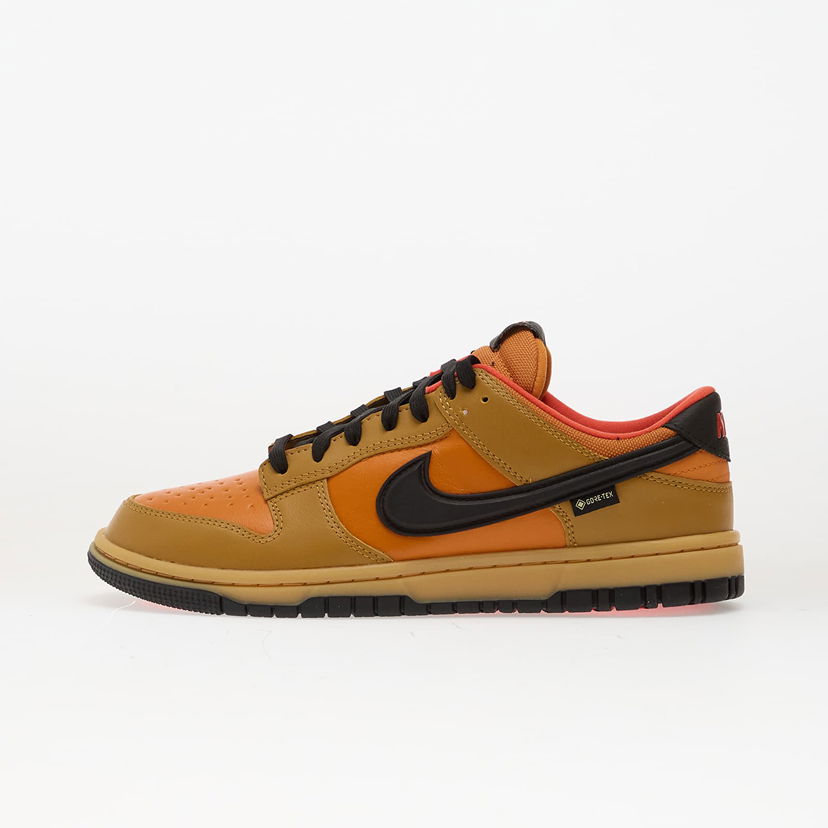 Tenisice i cipele Nike Dunk Low Gtx Smeđa | HQ2053-700