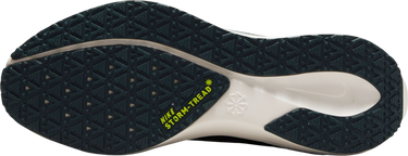 Tenisice i cipele Nike Pegasus 41 GORE-TEX Žuta | fq1357-300, 3