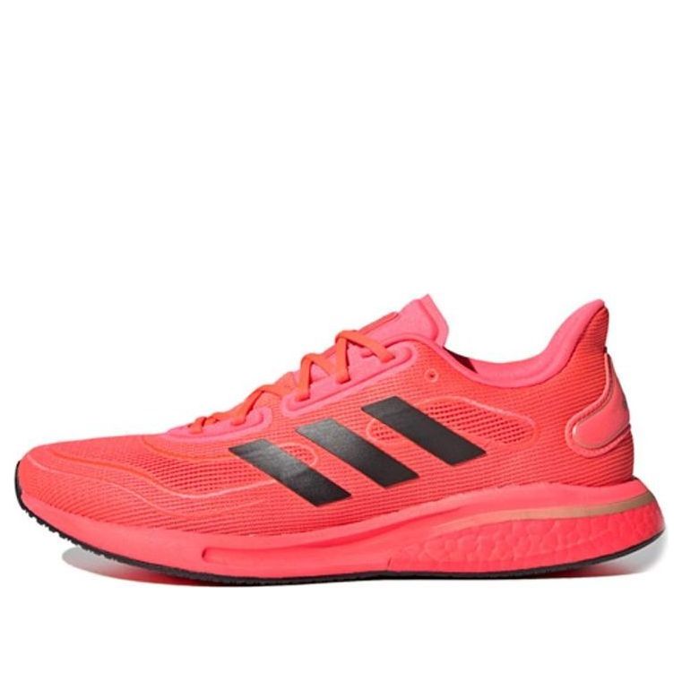 Tenisice i cipele adidas Performance Supernova Crvena | FV6032