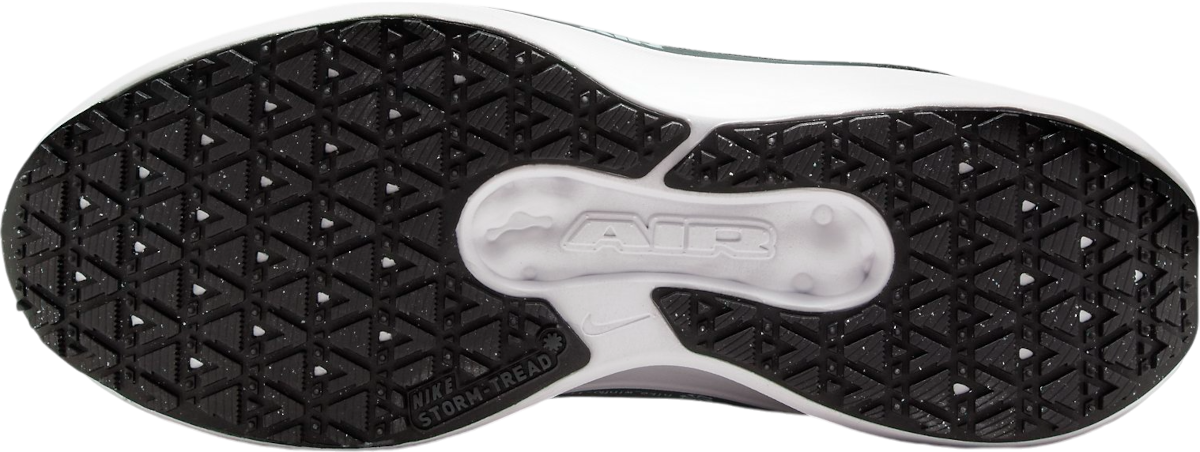 Tenisice i cipele Nike Winflo 11 GORE-TEX Crna | fq1359-004, 1