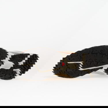 Tenisice i cipele Salomon XT-6 Gore-Tex Bež | L47865200, 1