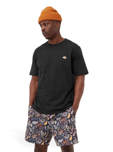 Majica kratkih rukava Dickies MAPLETON TEE Crna | 194903388614