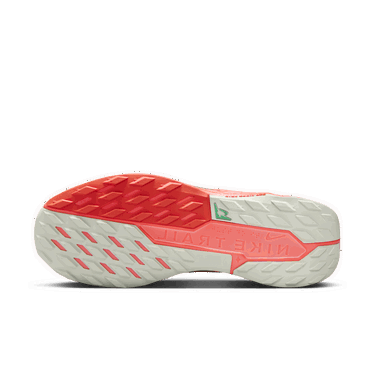 Tenisice i cipele Nike Pegasus Trail 5 GORE-TEX Siva | FQ0908-004, 1