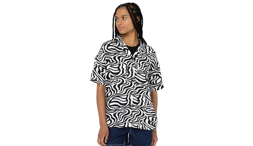 Majica kratkih rukava Dickies Leesburg Cloud Zebra Višebojno | DK0A4Y7TF31