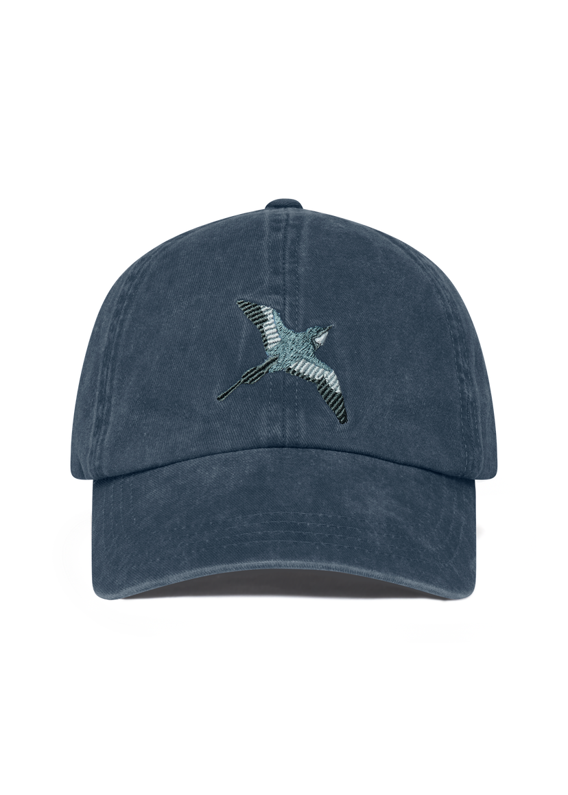 Kapa AXEL ARIGATO Bee Bird Embroidered Washed Cap Tamnoplava | X3553002