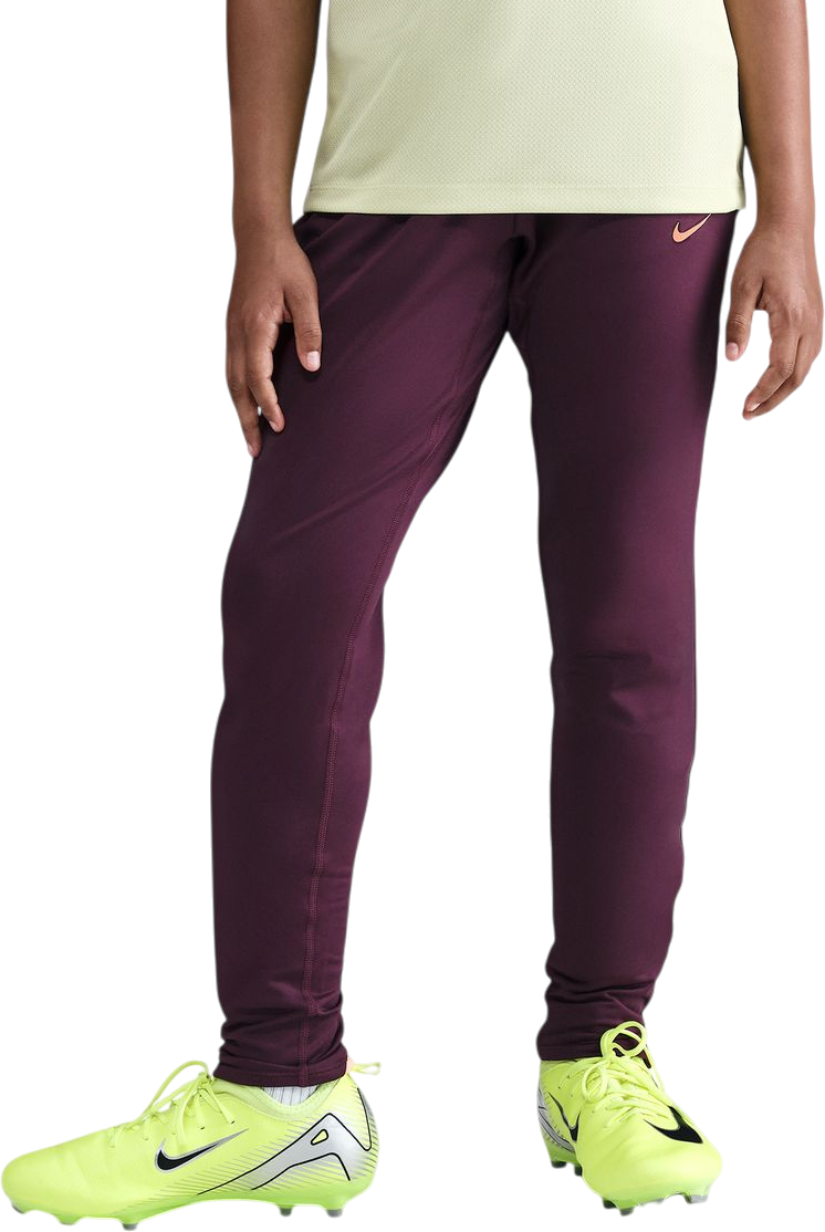 Trenirka Nike Dri-FIT Strike 24 Training Pants Tamnocrvena | fn8418-610, 0