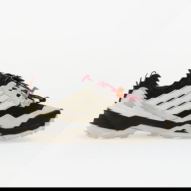 Tenisice i cipele adidas Performance Terrex Skychaser GORE-TEX Hiking Shoes Bež | IH2802, 2