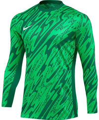 Nike Gardien Goalkeeper Jersey Long Sleeve