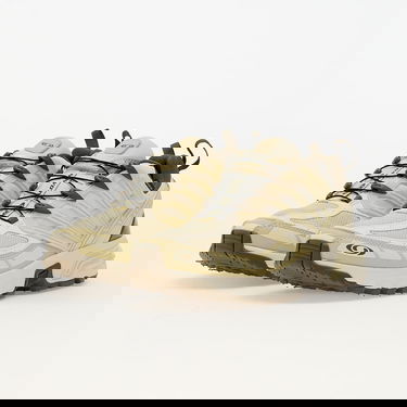 Tenisice i cipele Salomon Acs Pro Gtx Bež | L47736200, 5