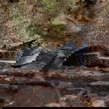 Tenisice i cipele adidas Performance TERREX Soulstride Flow Siva | IG8923, 3