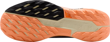 Tenisice i cipele Nike Pegasus Trail 5 GORE-TEX Višebojno | fq0912-011, 4