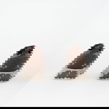 Tenisice i cipele Nike Pegasus Trail 5 Gore-Tex EUR 38 Smeđa | FQ0912-012, 4